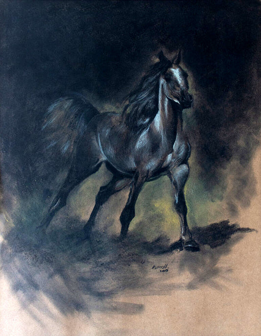 Black horse | Kumail | 22 x 28 inches